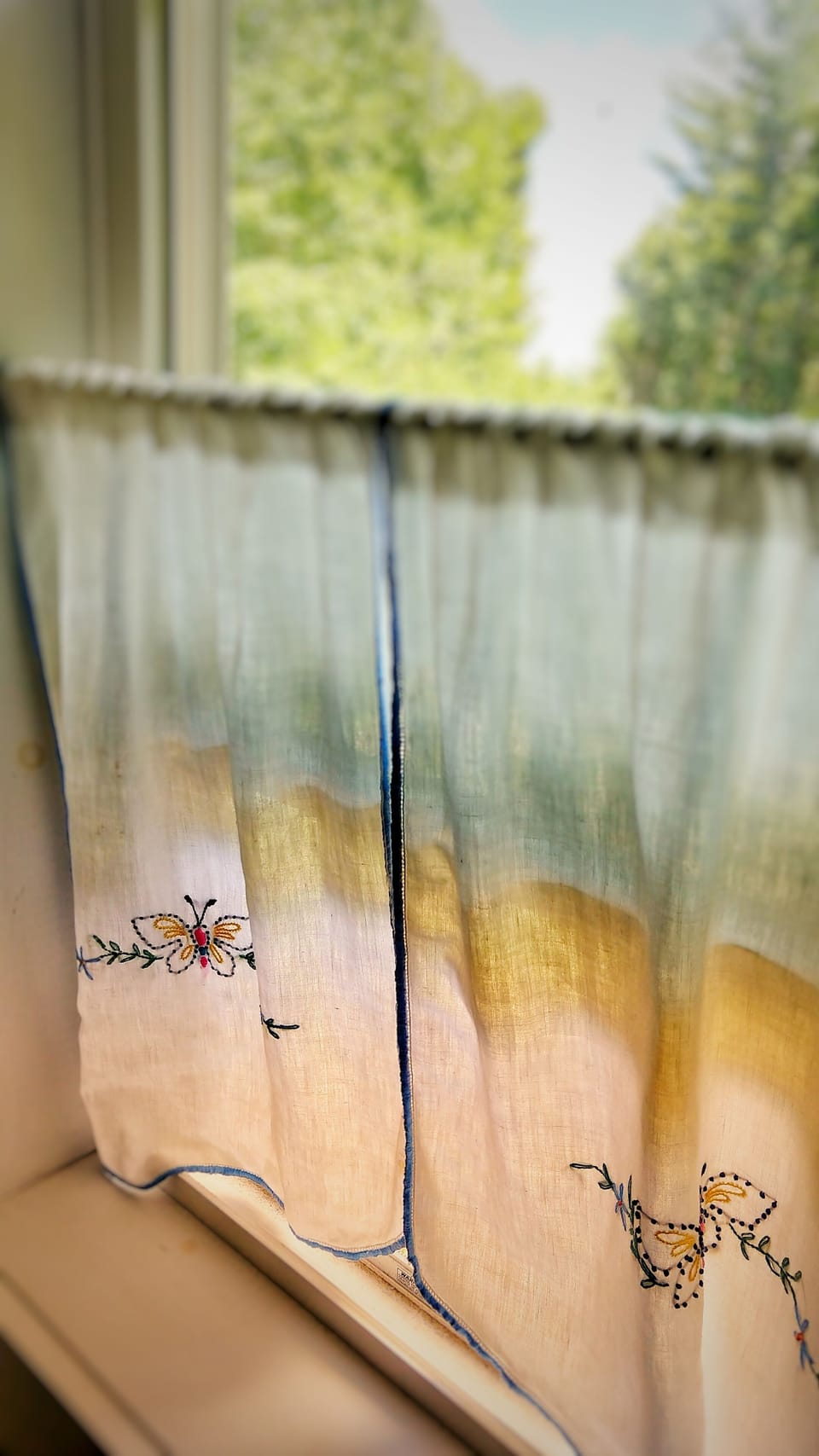 Bathroom Window