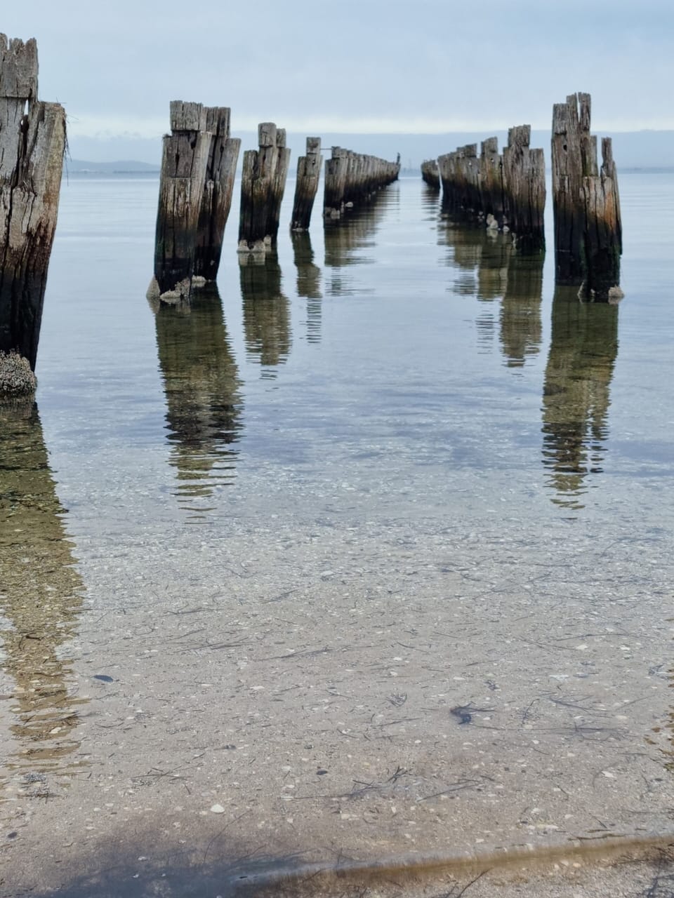 Clifton Springs pier (what's left of it)