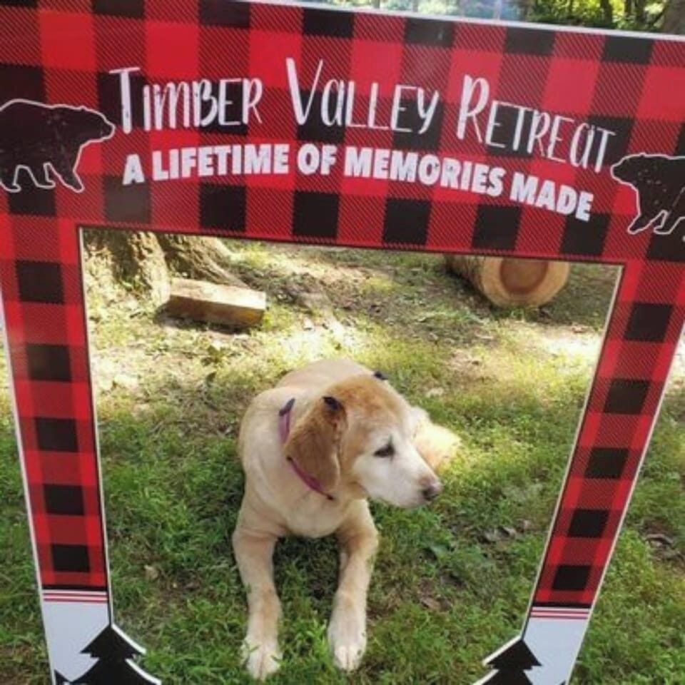 Pet-friendly