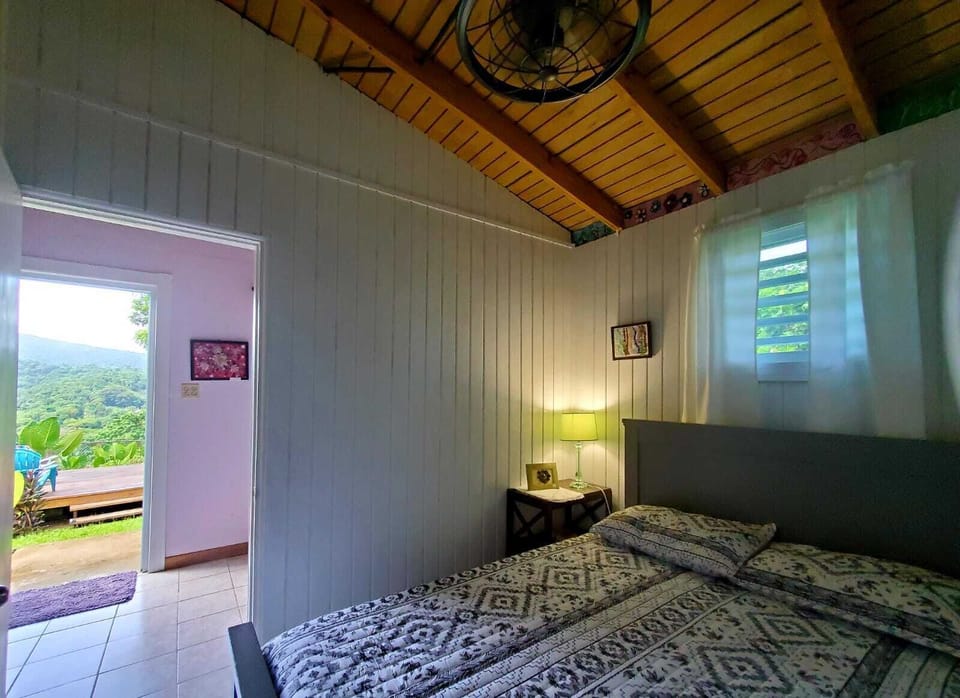 Third bedroom with full size bed in former walk-in closet. 