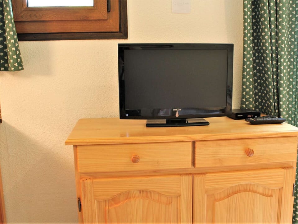 Television