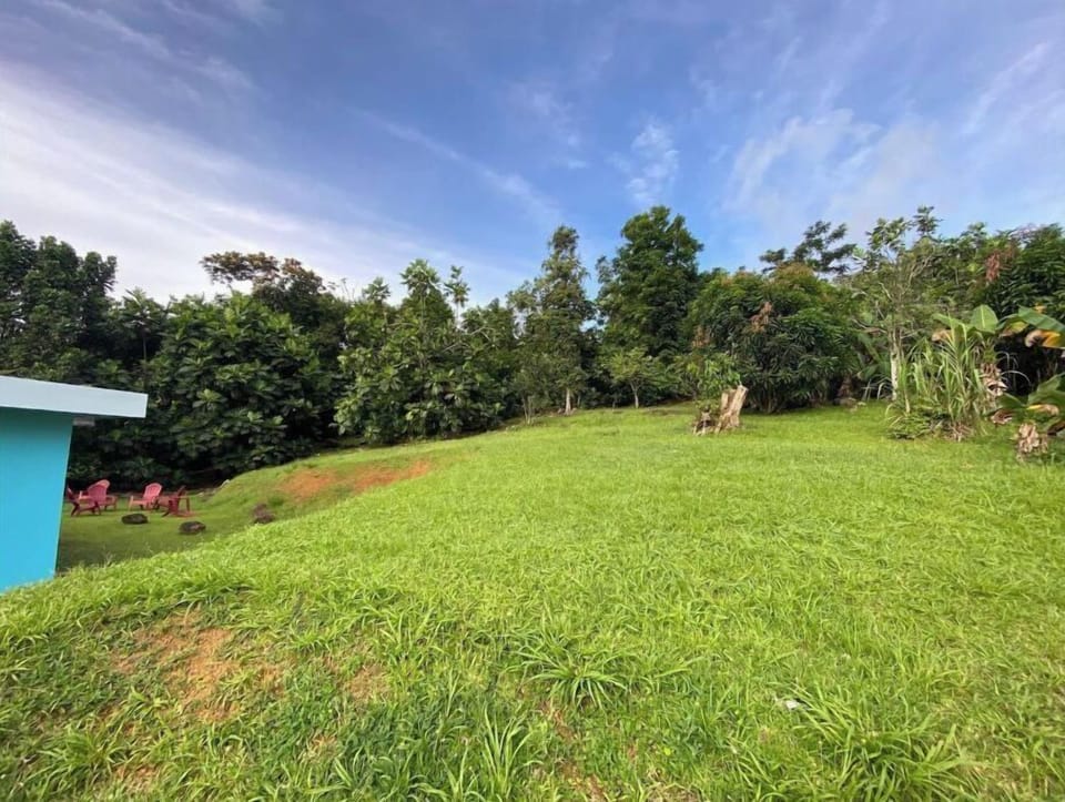 Big backyard.