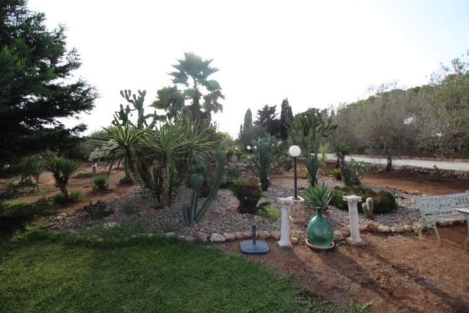 Apartment, 1 Bedroom, Smoking, Patio | Property grounds