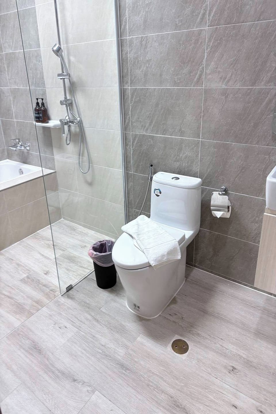 Shower, towels