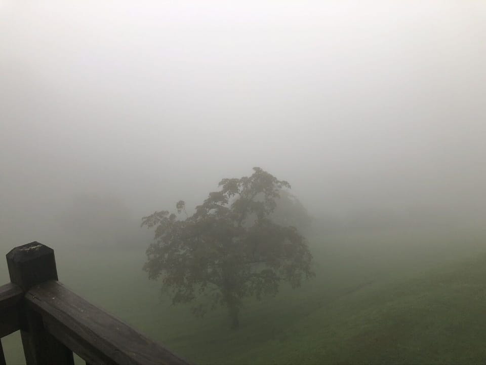 Smokey view from porch on an Autumn morning 🍂