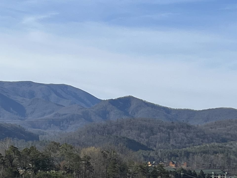 Front Porch View