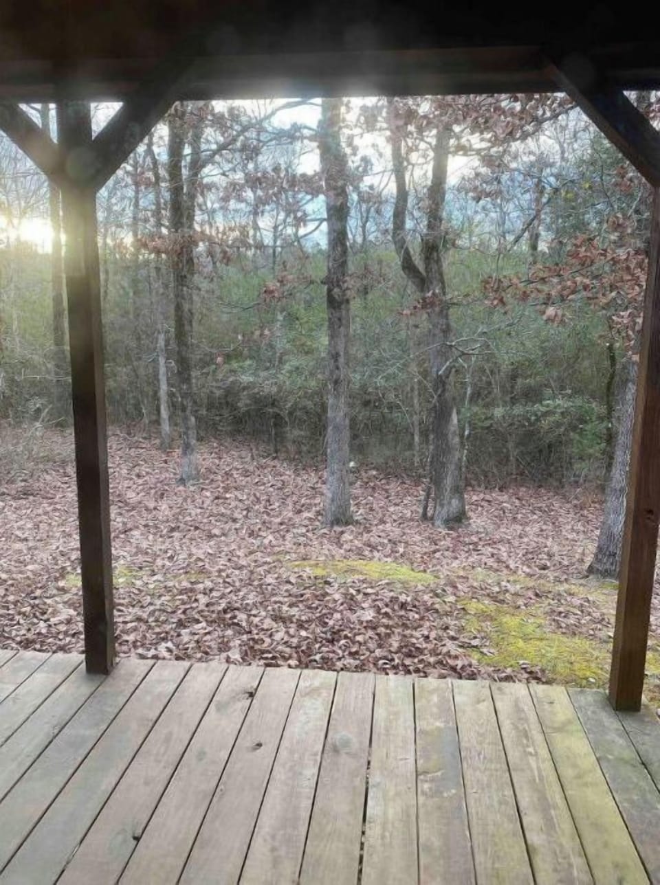 Beautiful view out back
