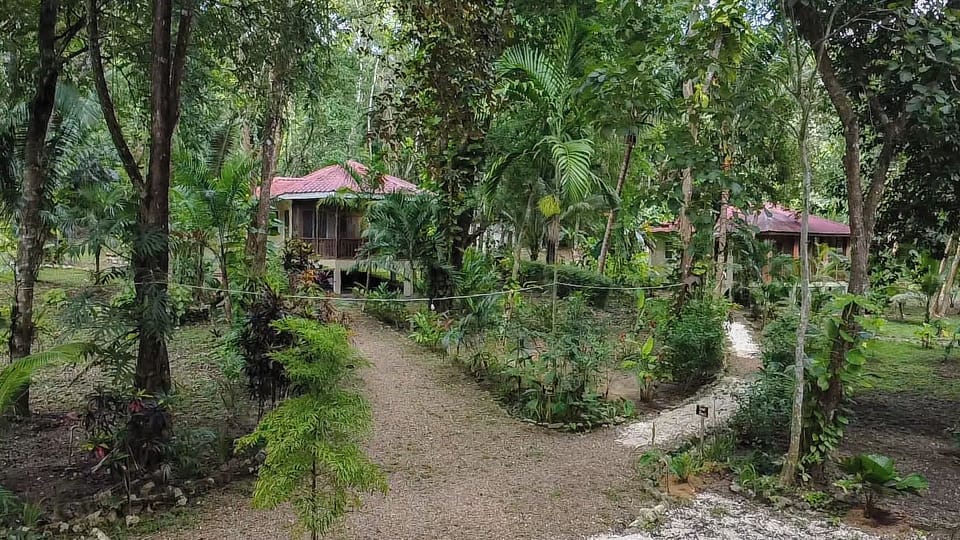 Peaceful jungle cabins for a family retreat.