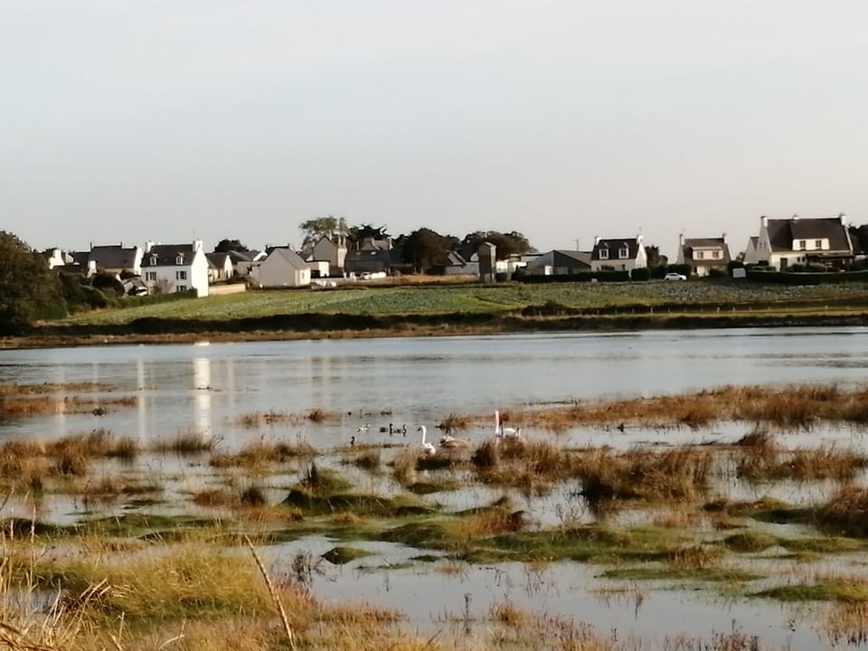 Lake