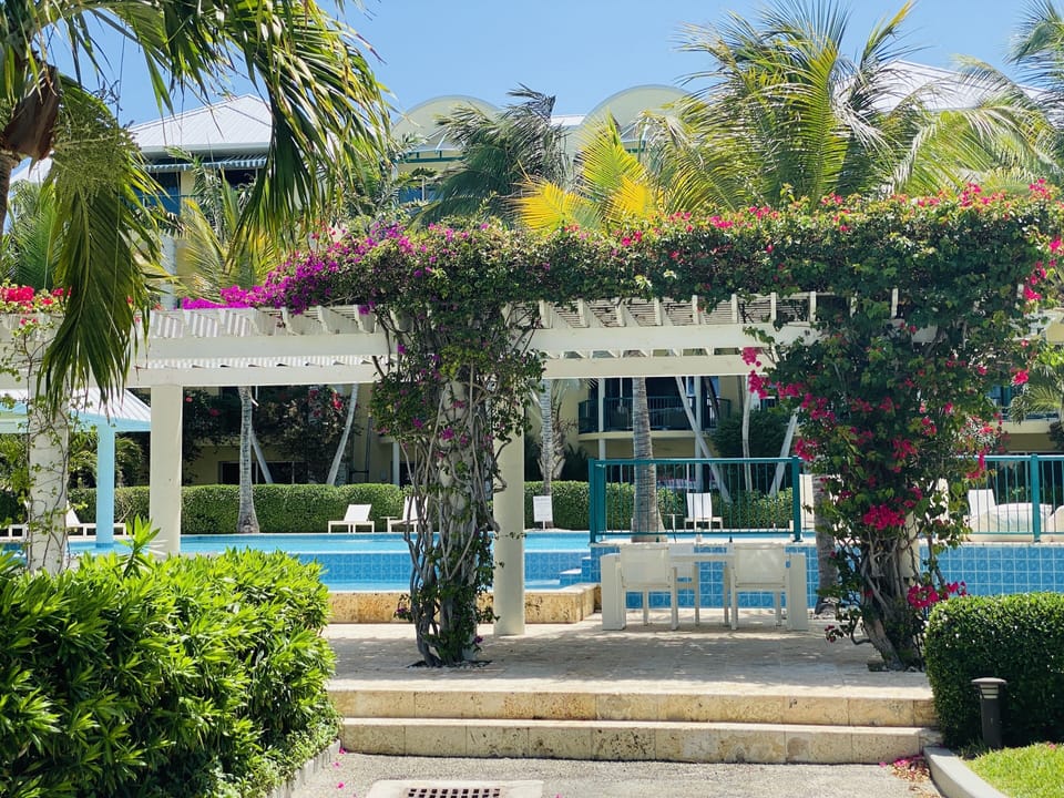 VIEW FROM THE FRONT DOOR 