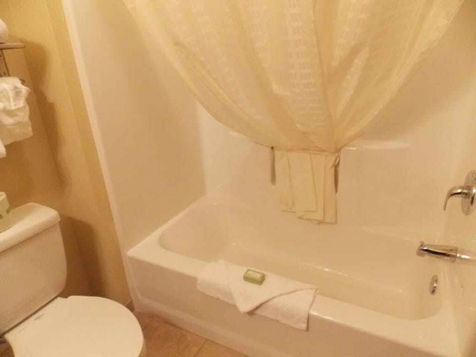 Combined shower/tub, free toiletries, hair dryer, towels