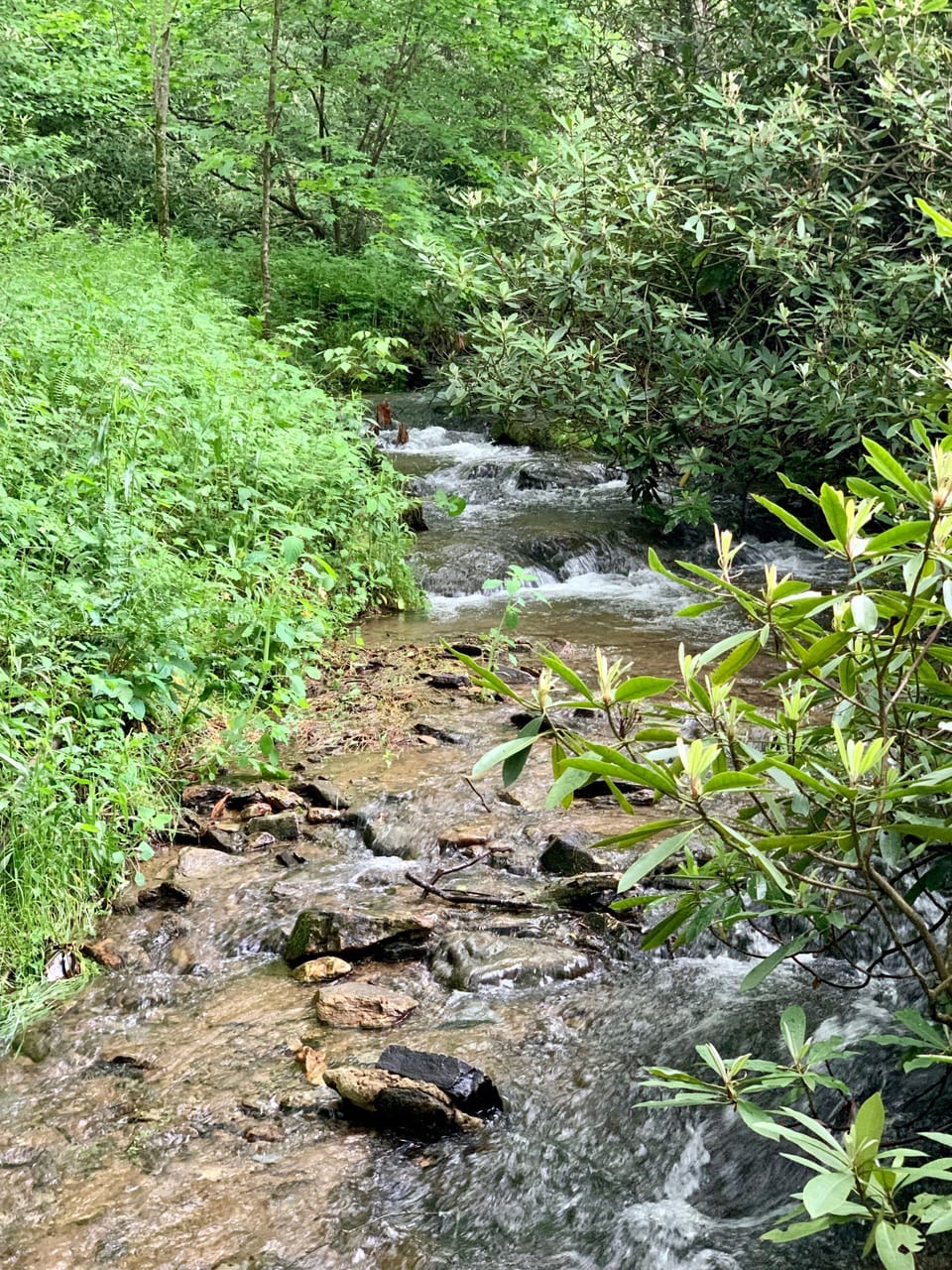 Private creek with tree swing located directly across the street from the cabin