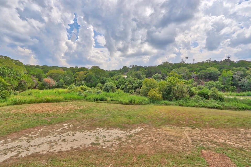 Spacious backyard with plenty of room for kids to run around
