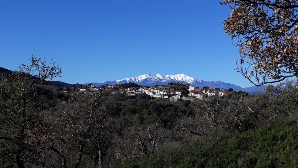Montesquieu-des-Alberes and the Canigou (5)