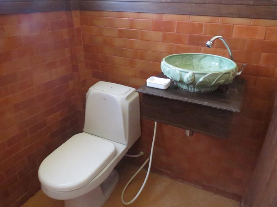 Shower, designer toiletries, hair dryer, slippers