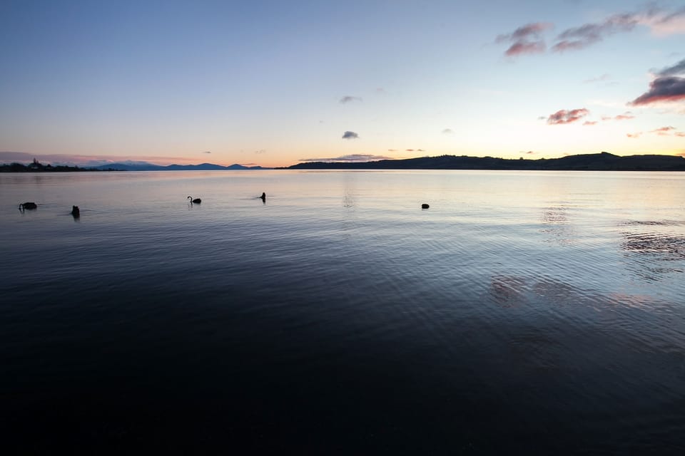 Lake view