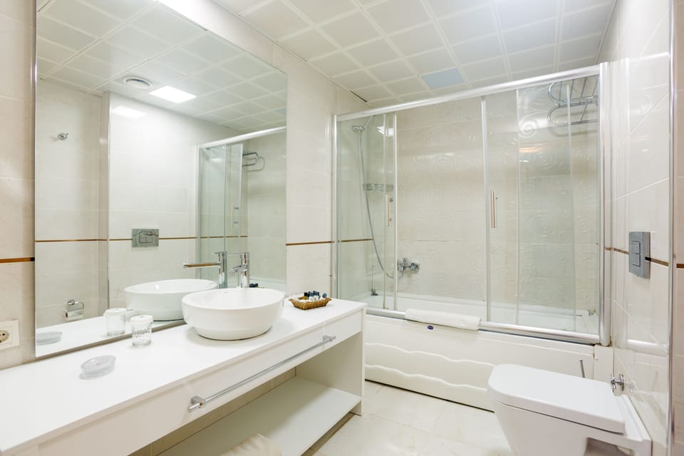 Deluxe Room | Bathroom | Free toiletries, hair dryer, slippers, towels