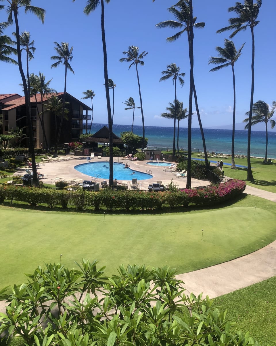 View from the lanai