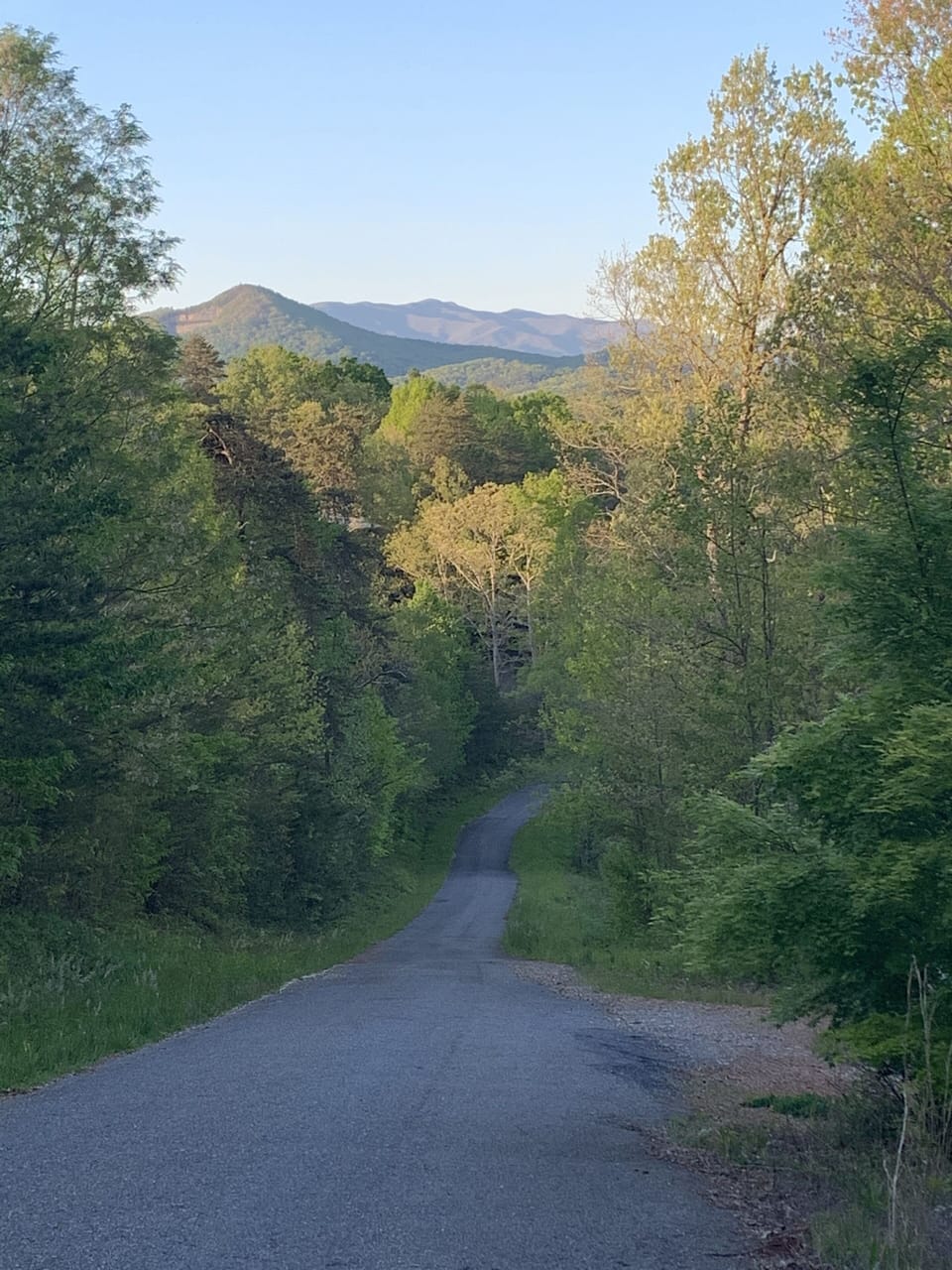 Ruby Ridge Drive to Cabin