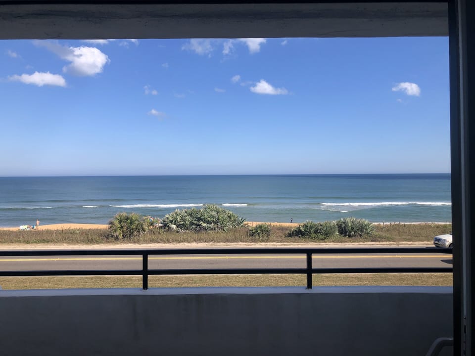 Right whales can be spotted from balcony typically between November and April