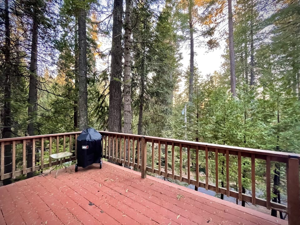 Charcoal Grill off Dining/Living Space