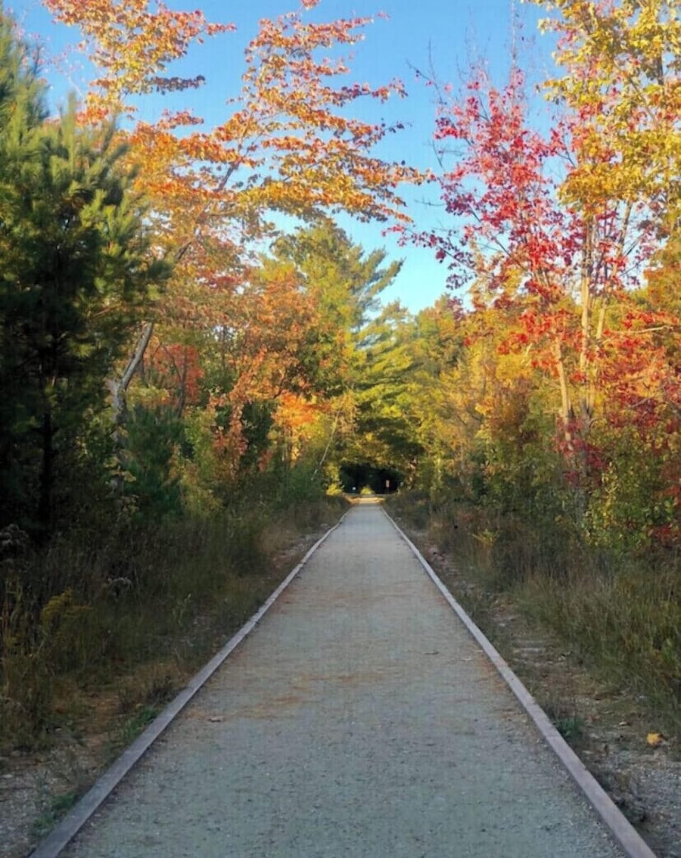 Cotton Valley Trail is across the street