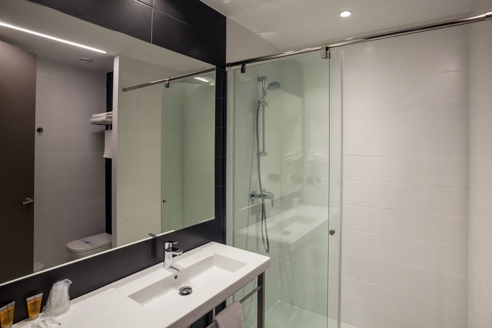 Hair dryer, bidet, towels