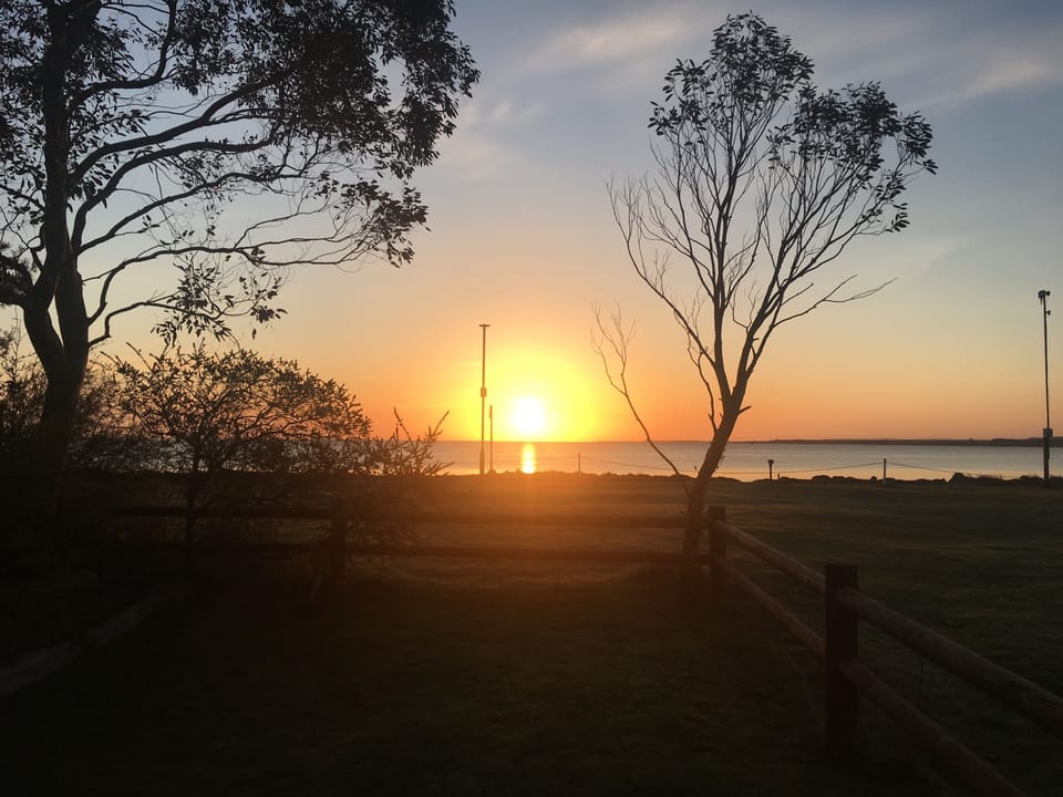 Sunrise from the garden