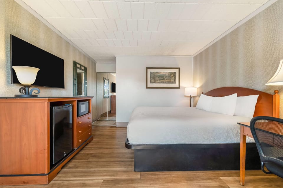 Room, 1 King Bed, Non Smoking (Exterior Entrance) | Laptop workspace, iron/ironing board, free cribs/infant beds, free WiFi