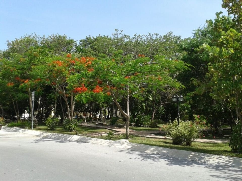 Property grounds