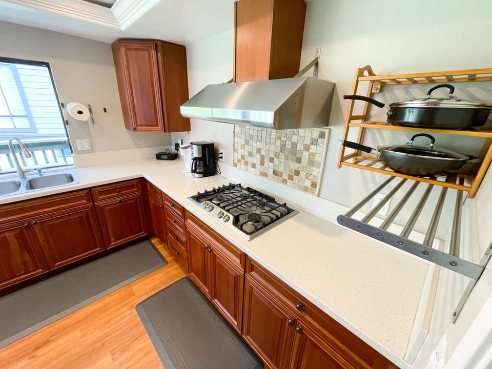 Gas stove with range