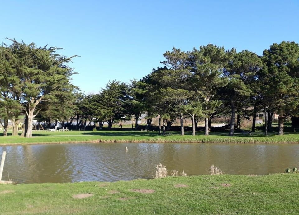 Lake