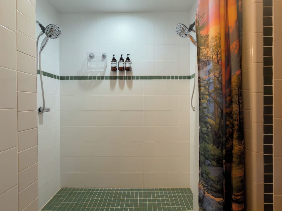 Master Bathroom Double Shower