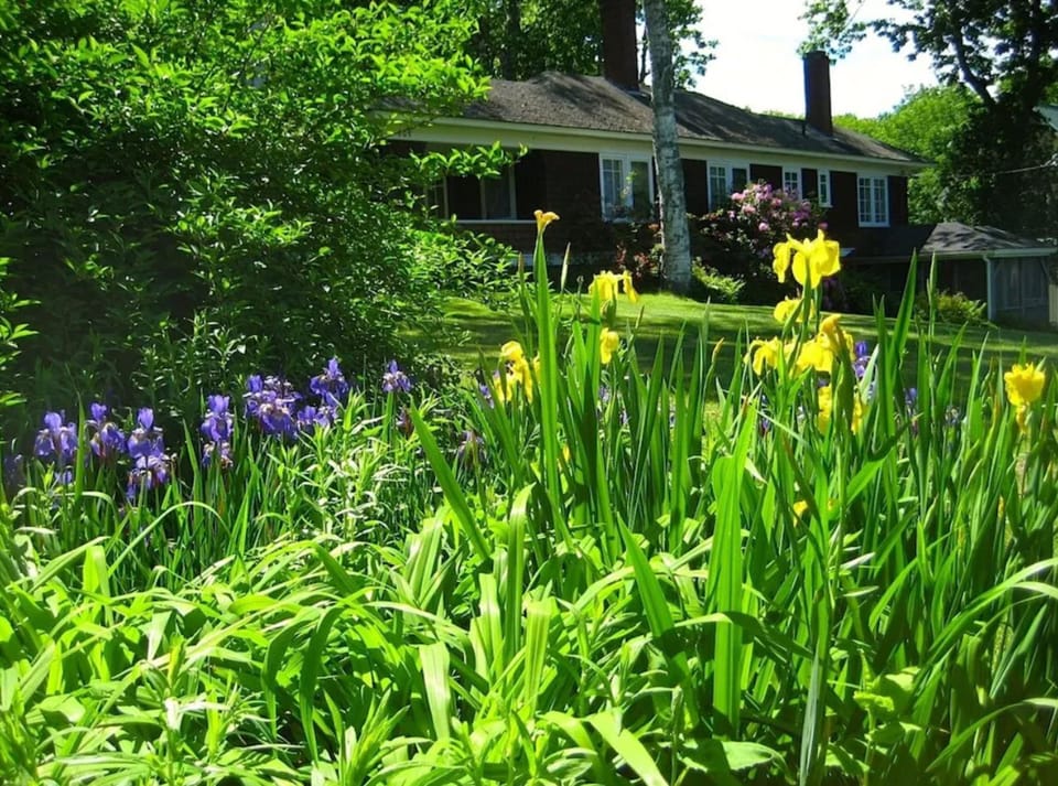 Lush gardens, including raspberry bushes with delicious berries!