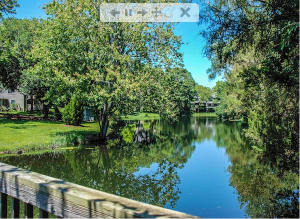 Back Yard lake