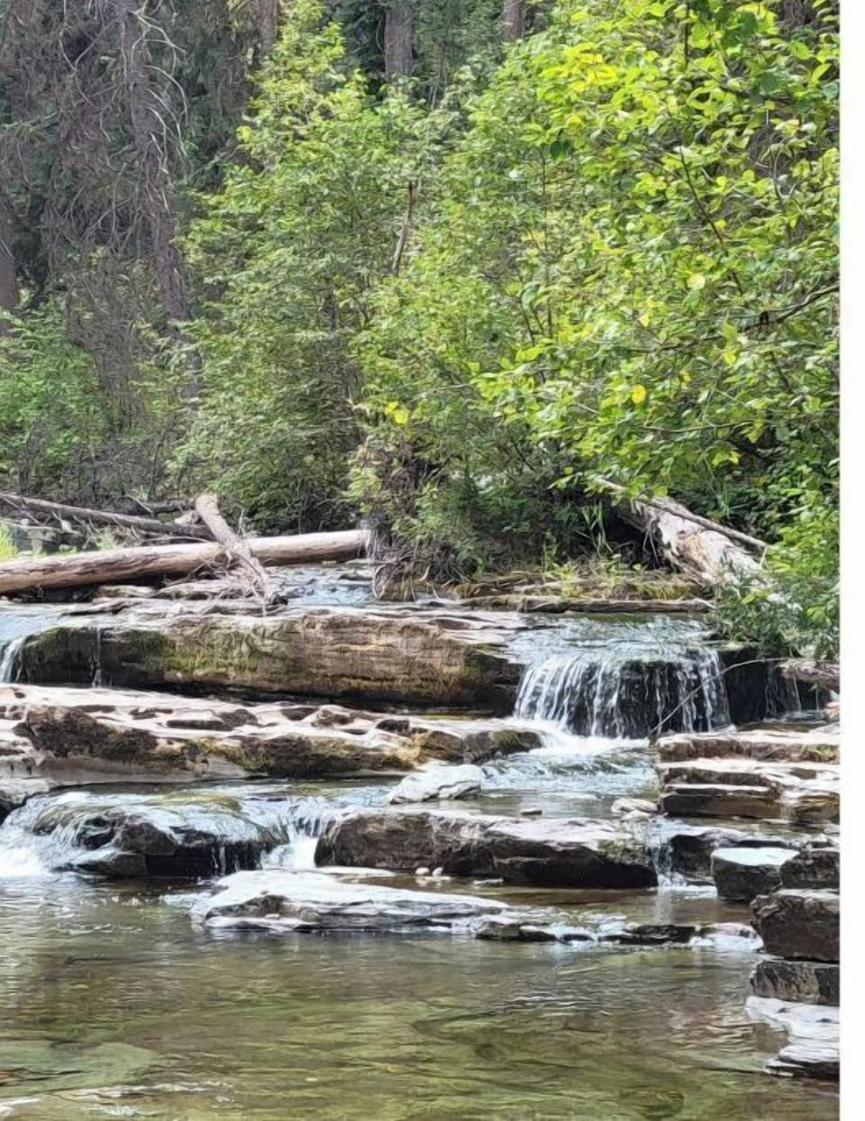 Pinkham falls