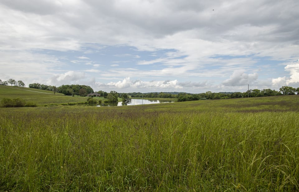 Scenic views from every angle of the cabin.