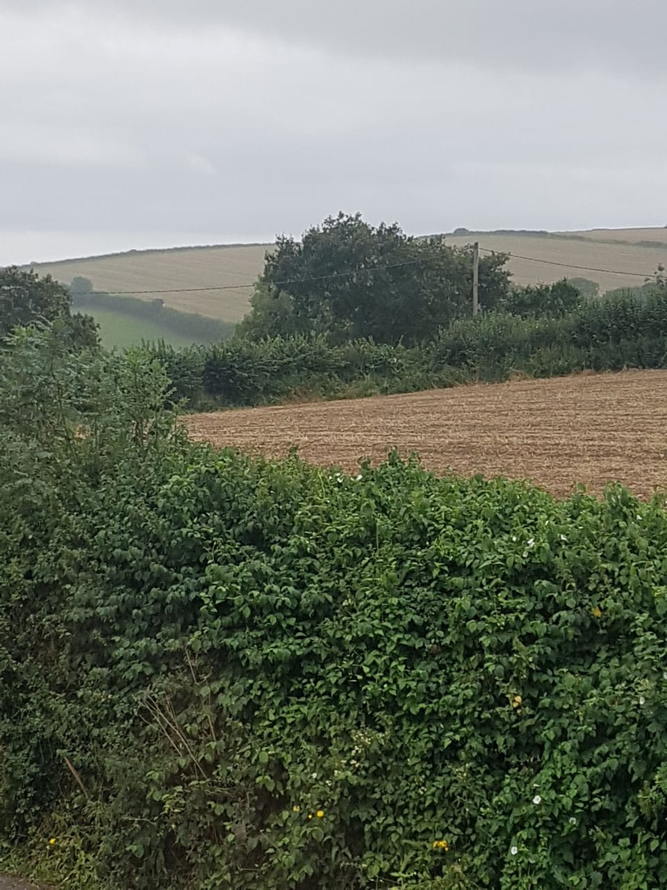 Image 25