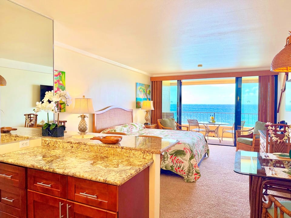 Jr Suite View from Entryway