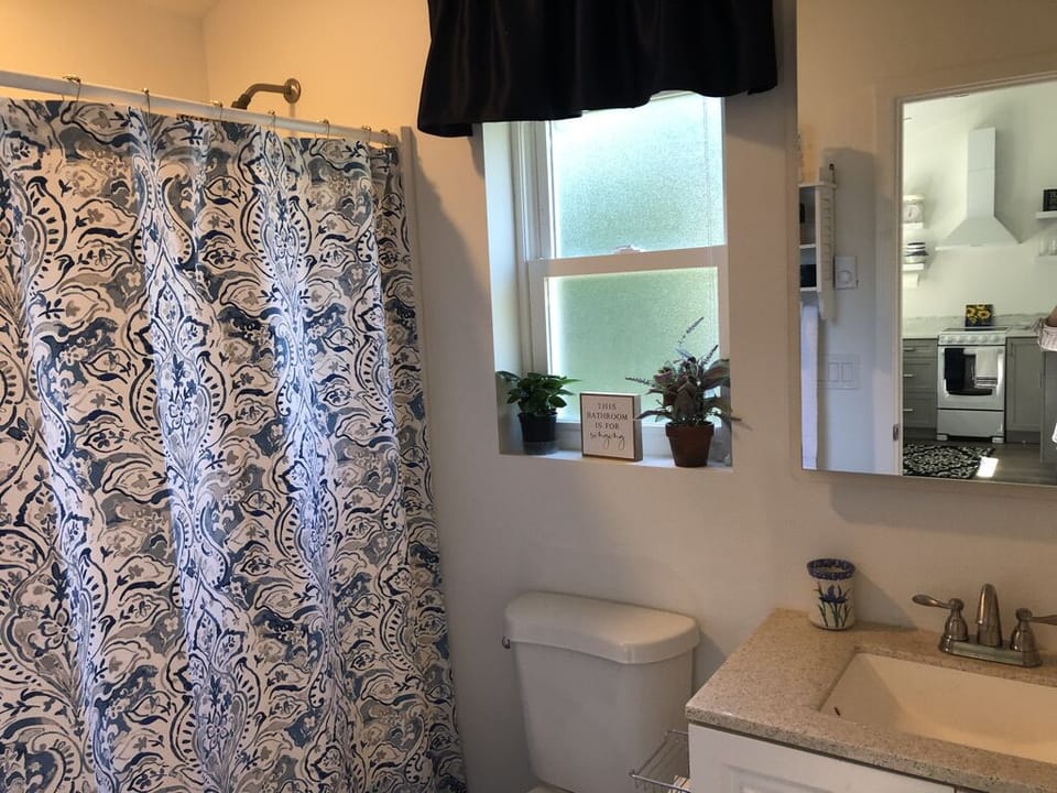 Full Bathroom with handheld shower, shampoo, conditioner, shower gel, soap bombs