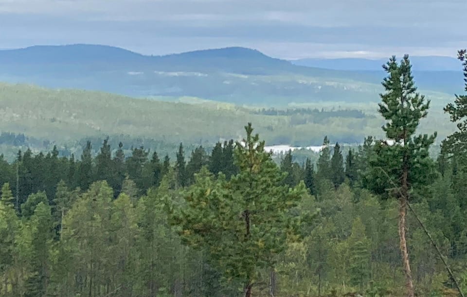 area