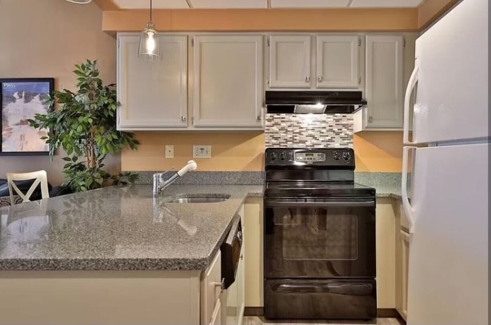 Kitchen with full size fridge, oven, dishwasher and microwave 