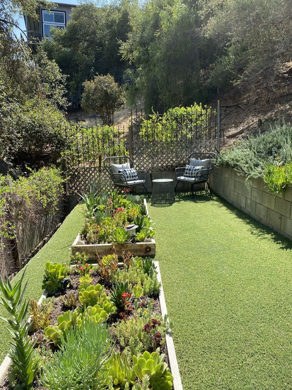 Have a seat in our succulent garden and take in the treehouse views and solace.