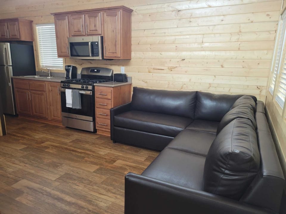 Living Room W/ Sofabed