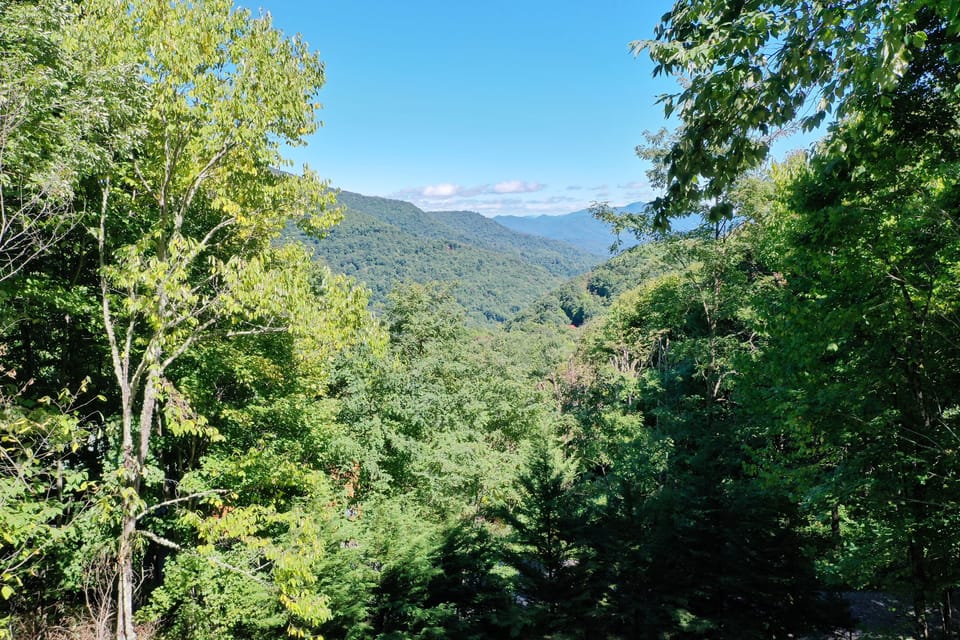 A beautiful summer afternoon view in the mountains looking off the porch.