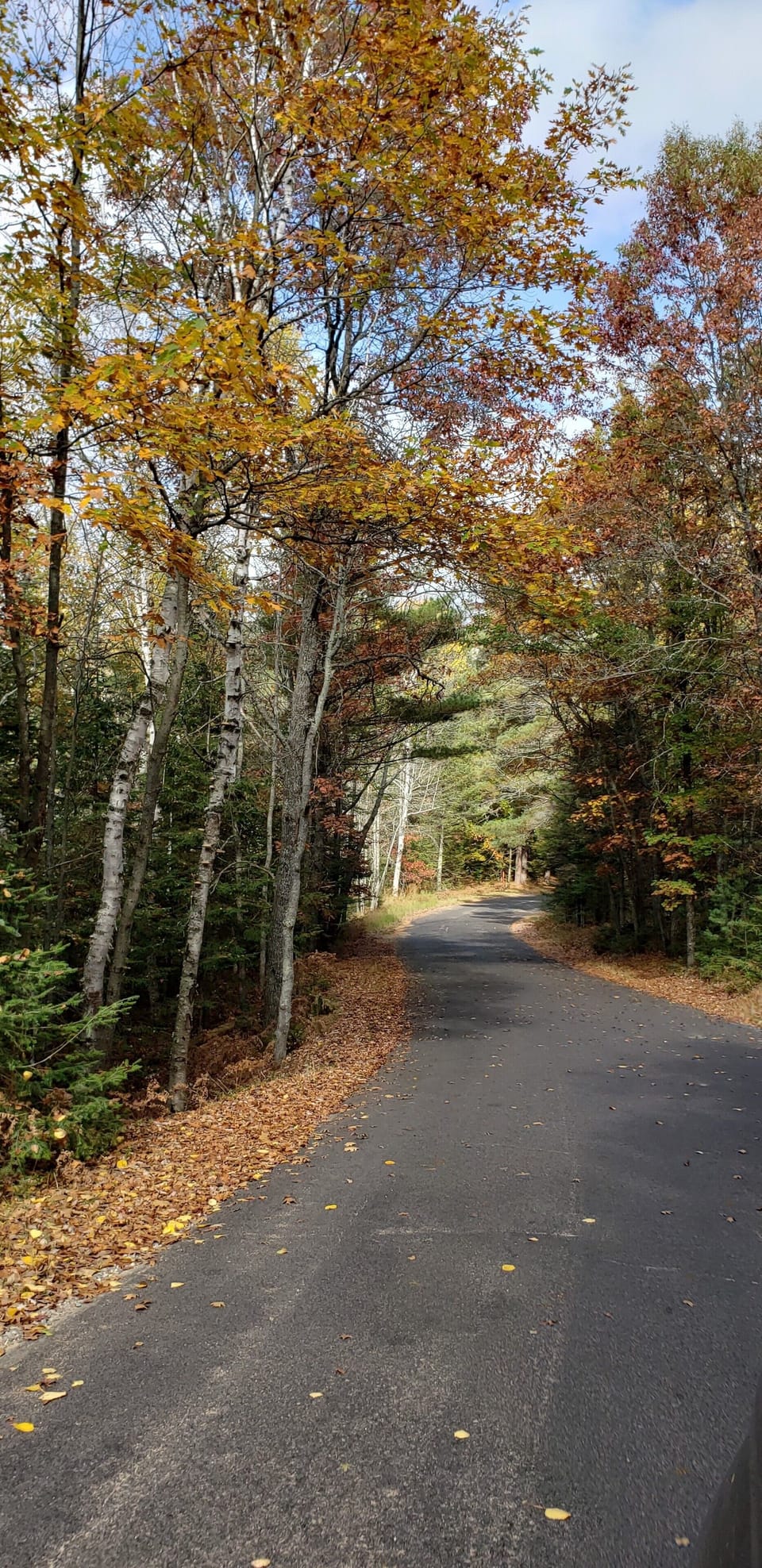 View down road from house