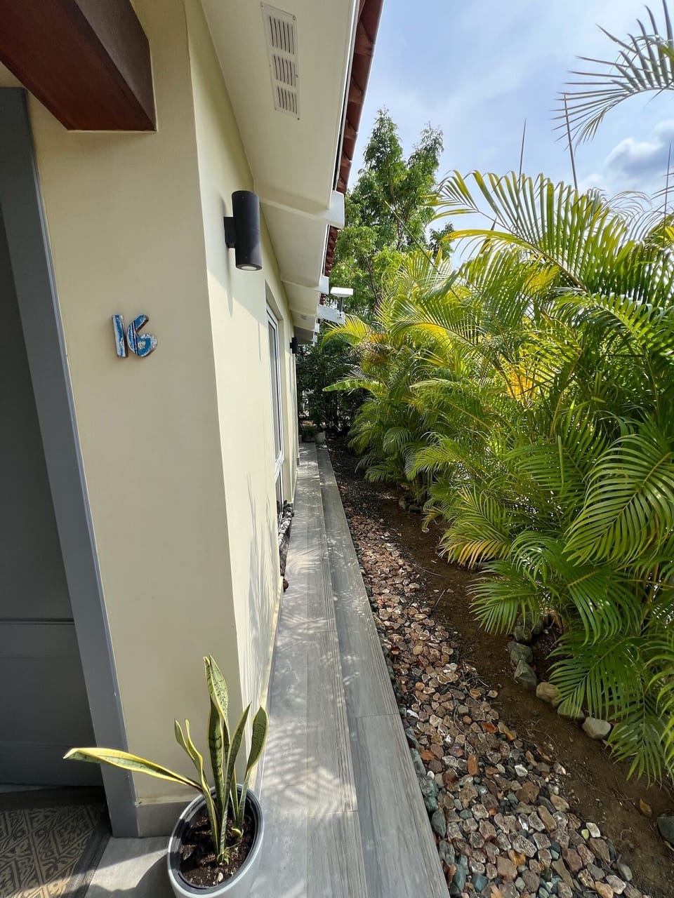 Palms, Moringa, and purple bananas