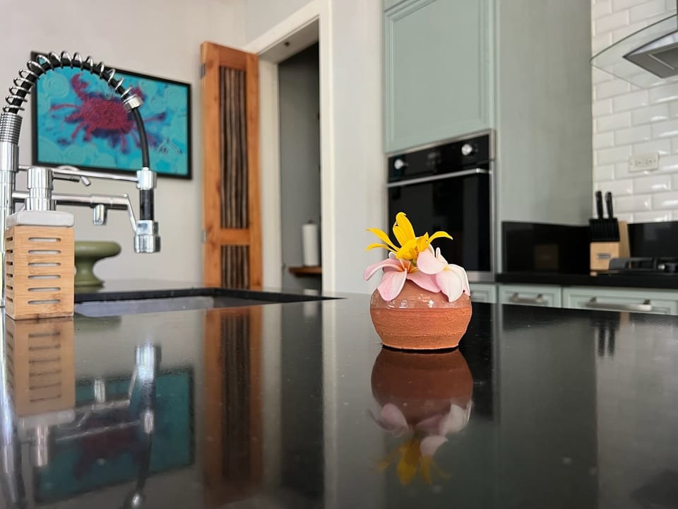 Kitchen counter view