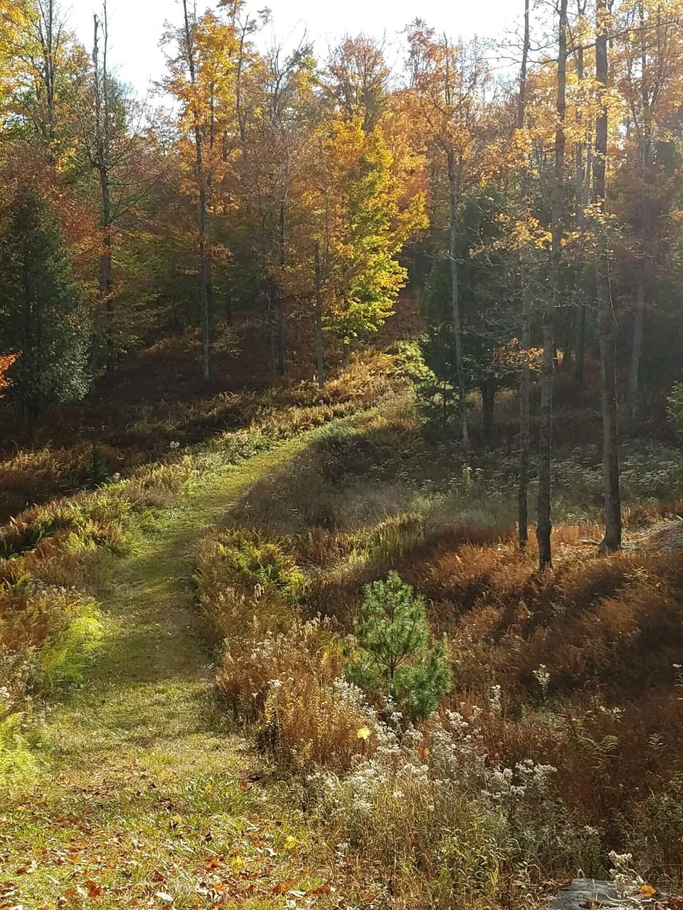 Nearby walking trail.