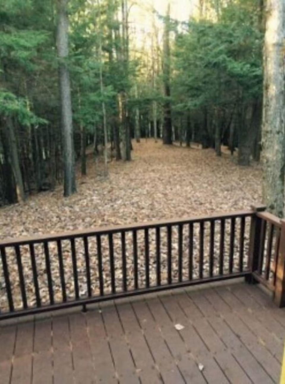 Back door view